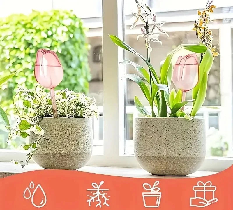 Stylish Plant Watering Solution Tulip Plant Watering Globes