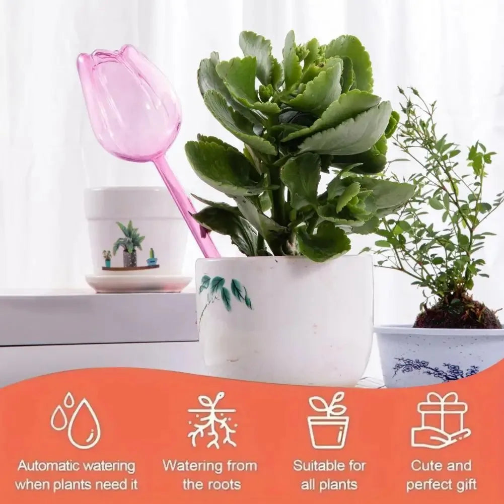 Stylish Plant Watering Solution Tulip Plant Watering Globes
