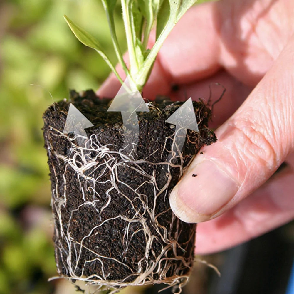 10cm Coconut Coir Soil Brick Natural Lightweight
