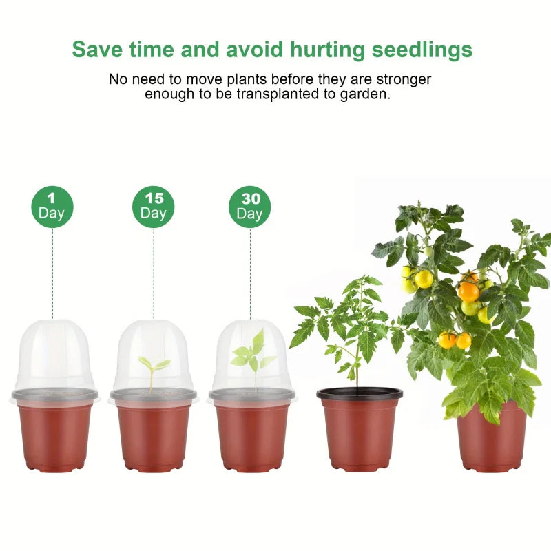 Plant Nursery Pot