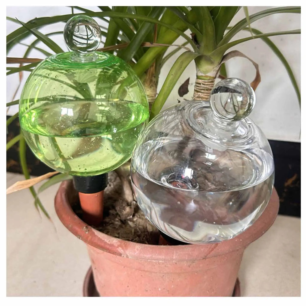 Self Watering Globes Top Fill Automatic Plant Watering