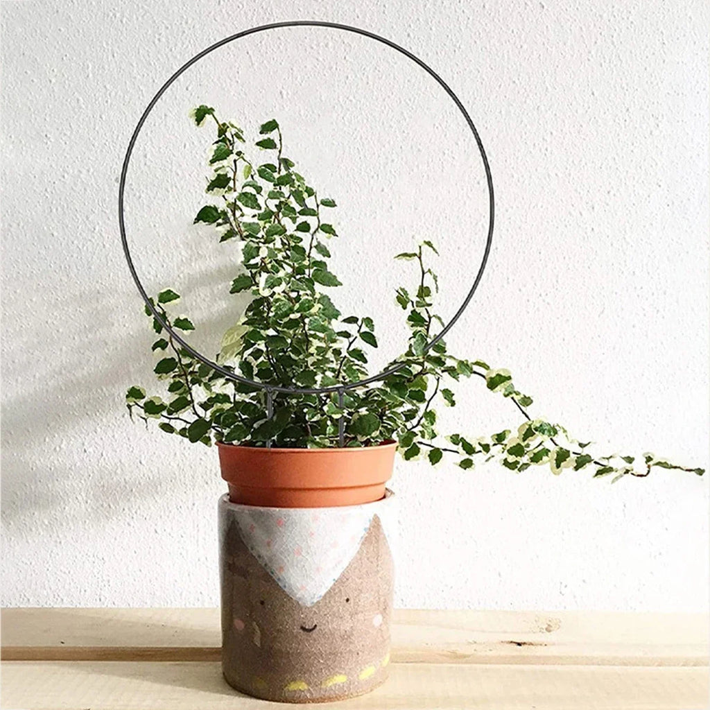 Garden Trellis Plant Iron Climbing Plant Support With