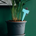 Automatic Plant Watering Globes Self Watering Spikes For