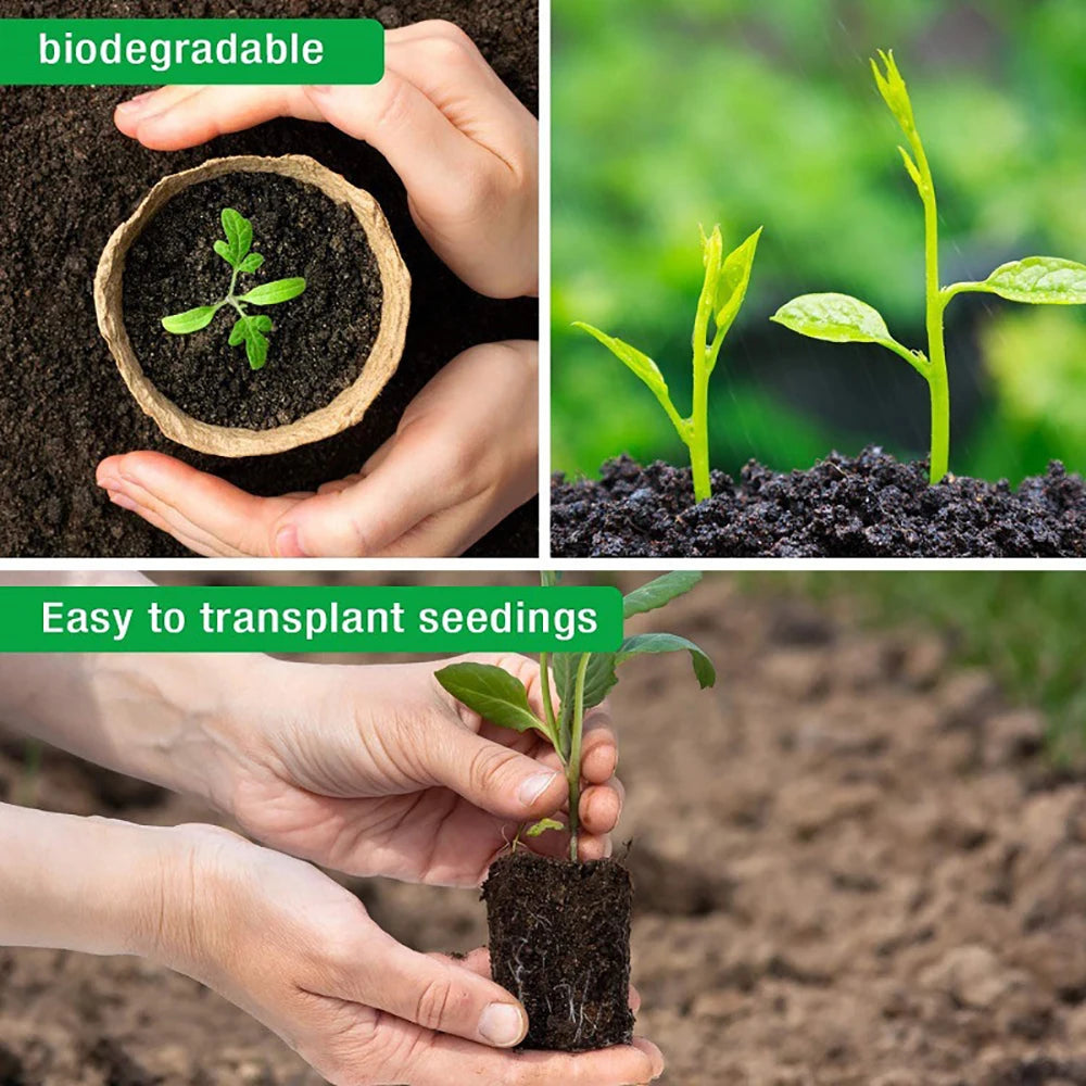6/8cm Paper Pulp CultIvation Cup Biodegradable Seedling