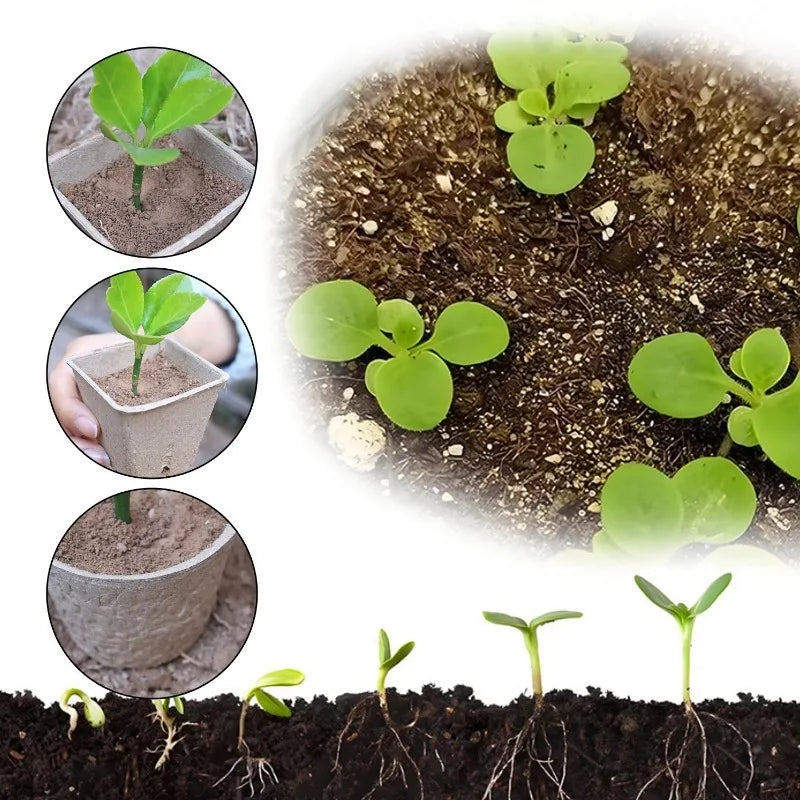 Biodegradable Garden Nursery Pots Pulp Seed Starter