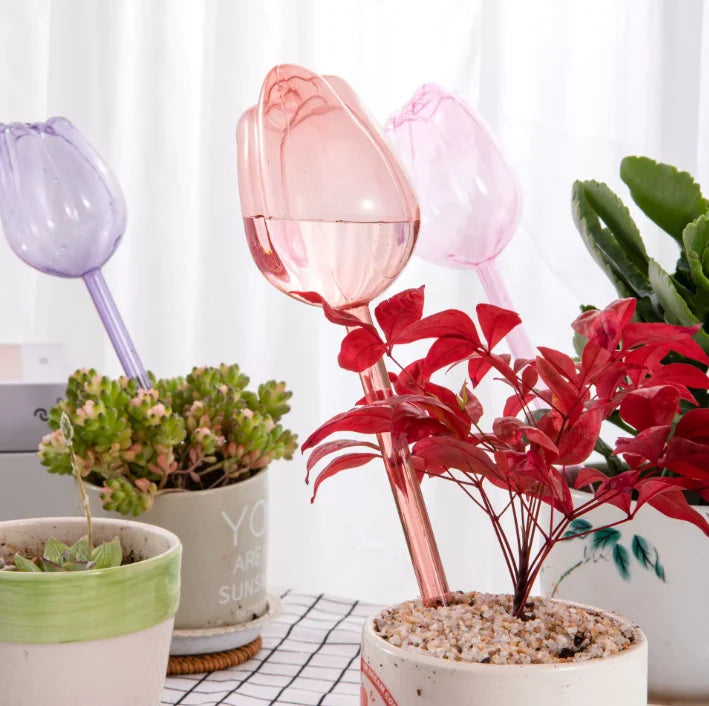 Plastic Tulip Waterer Plant Watering Globes Automatic Drip