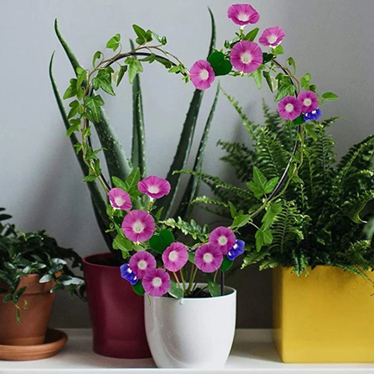 Garden Trellis Plant Iron Climbing Plant Support With