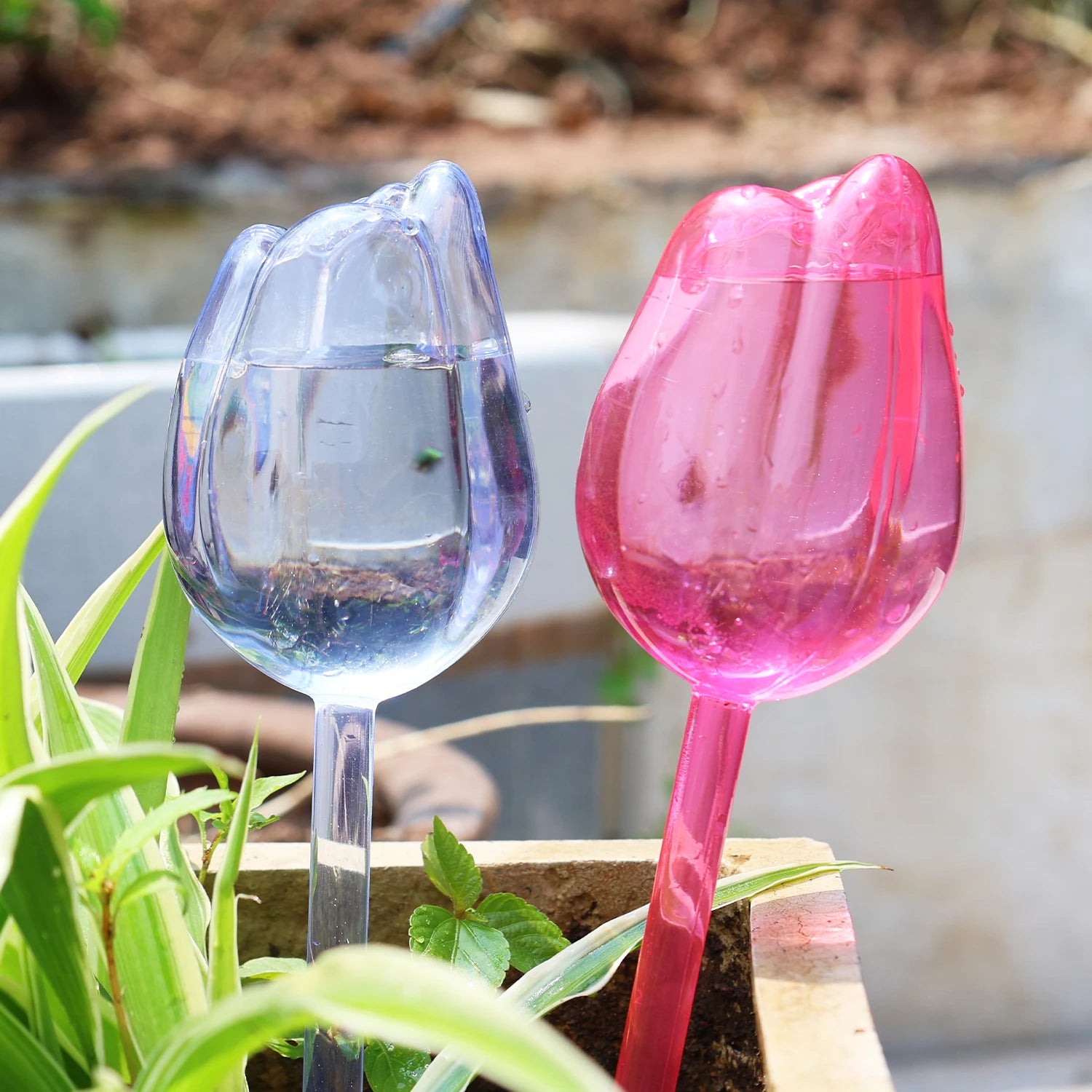 Plastic Tulip Waterer Plant Watering Globes Automatic Drip