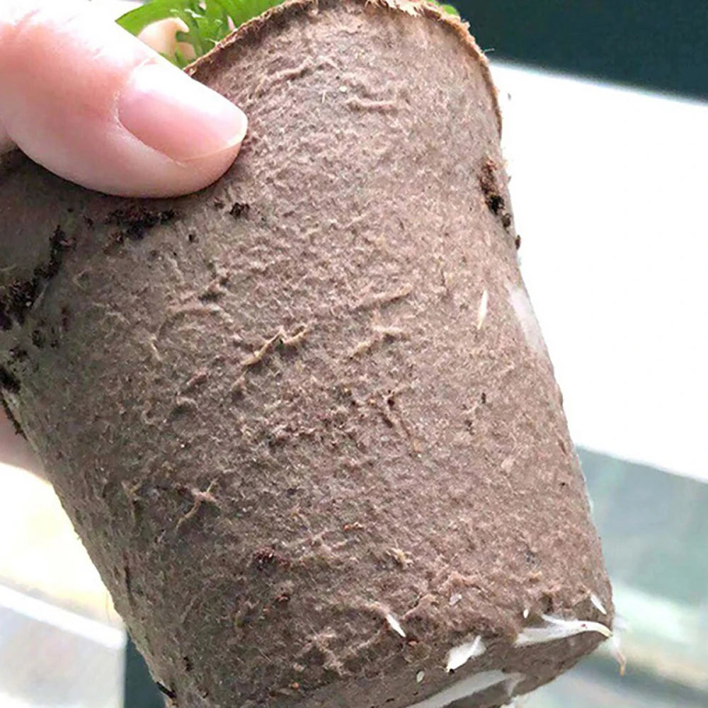 6/8cm Paper Pulp CultIvation Cup Biodegradable Seedling