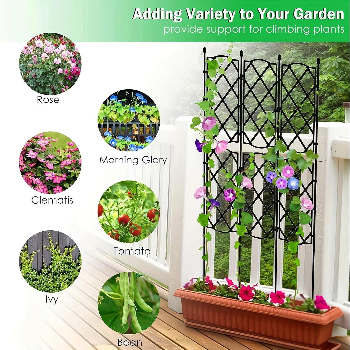 Garden Trellis For Climbing Plants
