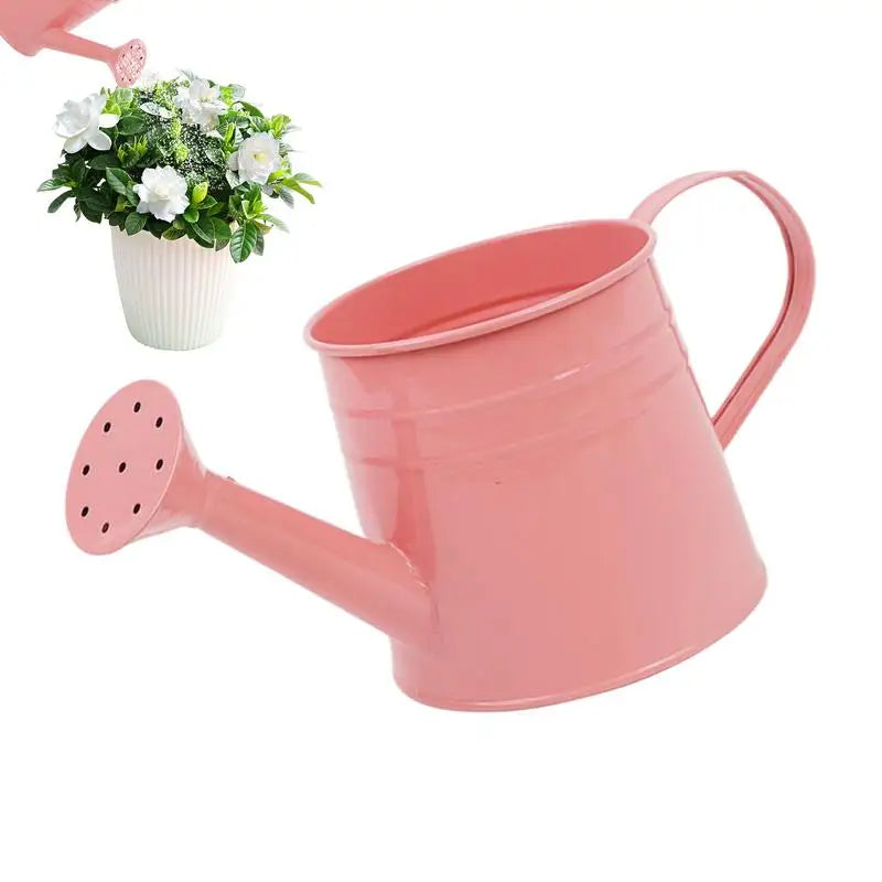 Small Watering Can For Indoor Plants 1L Long