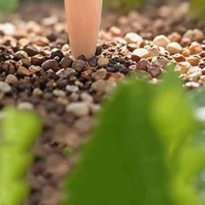 Self Watering Globes Top Fill Automatic Plant Watering
