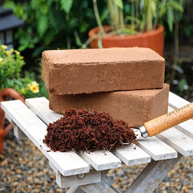600g Top-Quality Organic Soilles Cultivation Nutrient Soil
