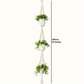 Macrame Double Plant Pendant Indoor Outdoor