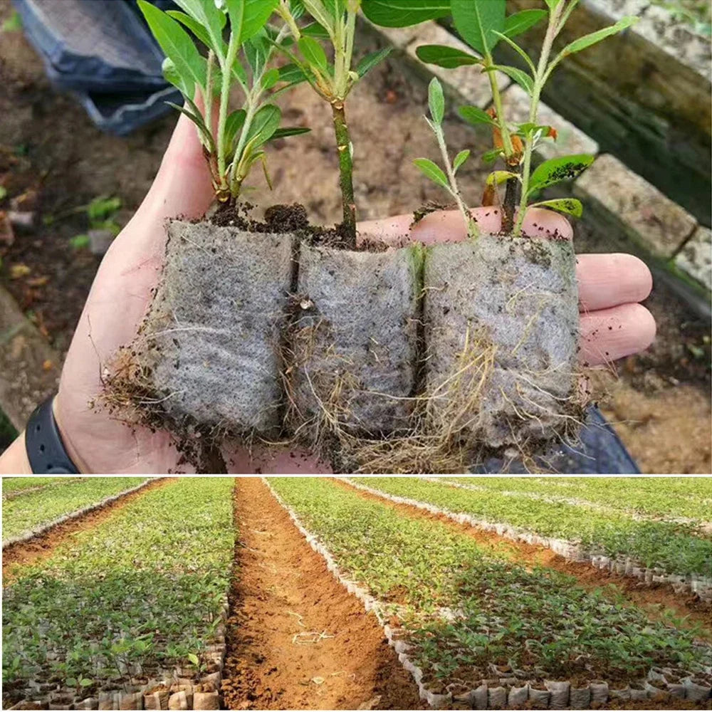 100-500Pcs Biodegradable Nursery Bag Plant Grow Bags