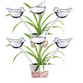 Plastic Plant Watering Globes
