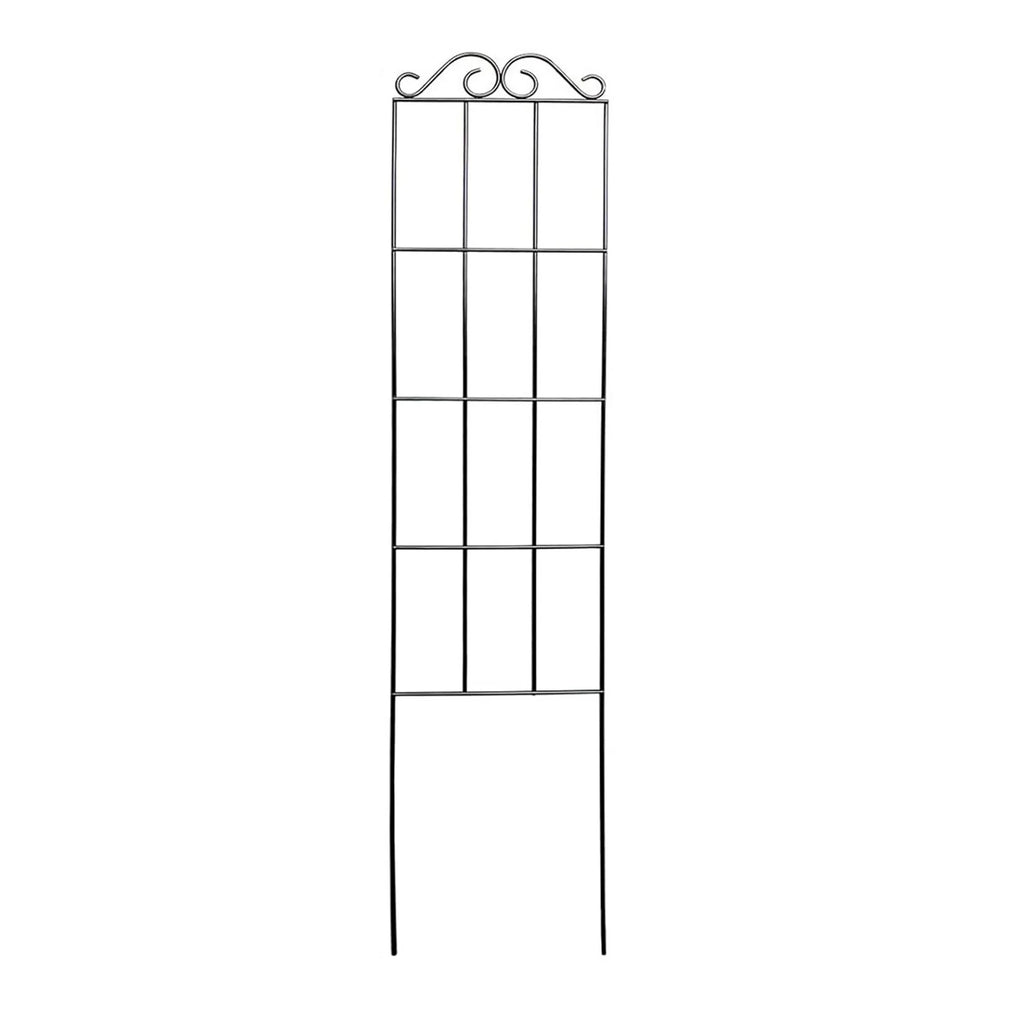 Plants Support Metal Trellis Black Iron Wire Vine