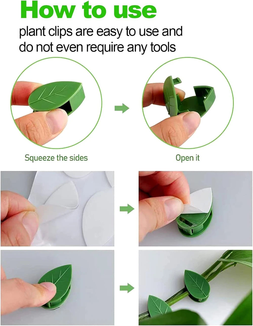 Invisible Plant Climbing Wall Fixture Clips 10-50Pcs — Plant Trellis