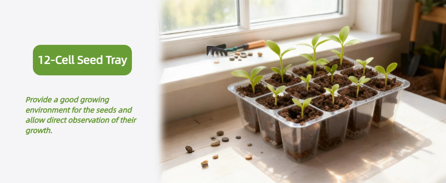 Seed Starter Tray Mini Greenhouse Germination Kit