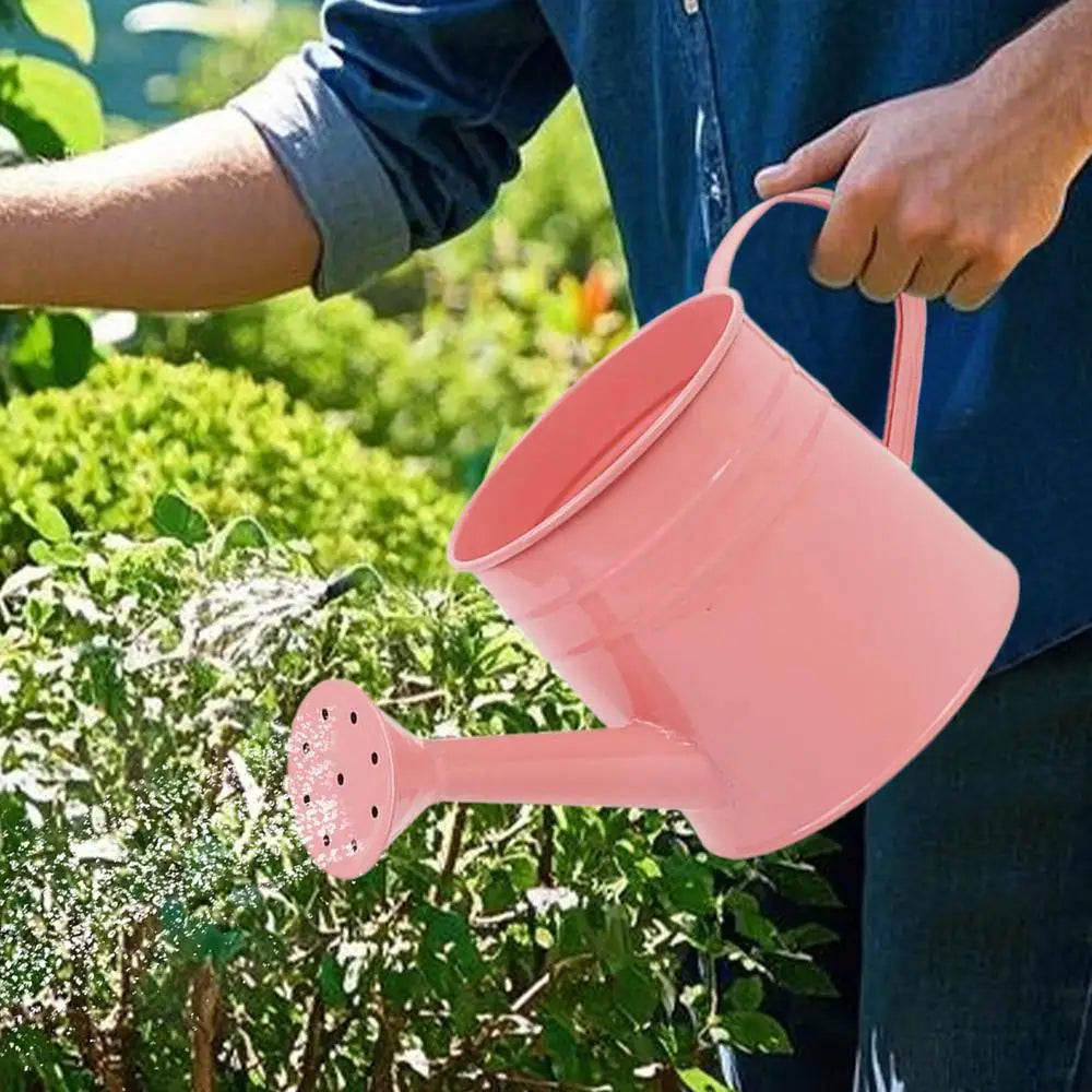 Small Watering Can For Indoor Plants 1L Long