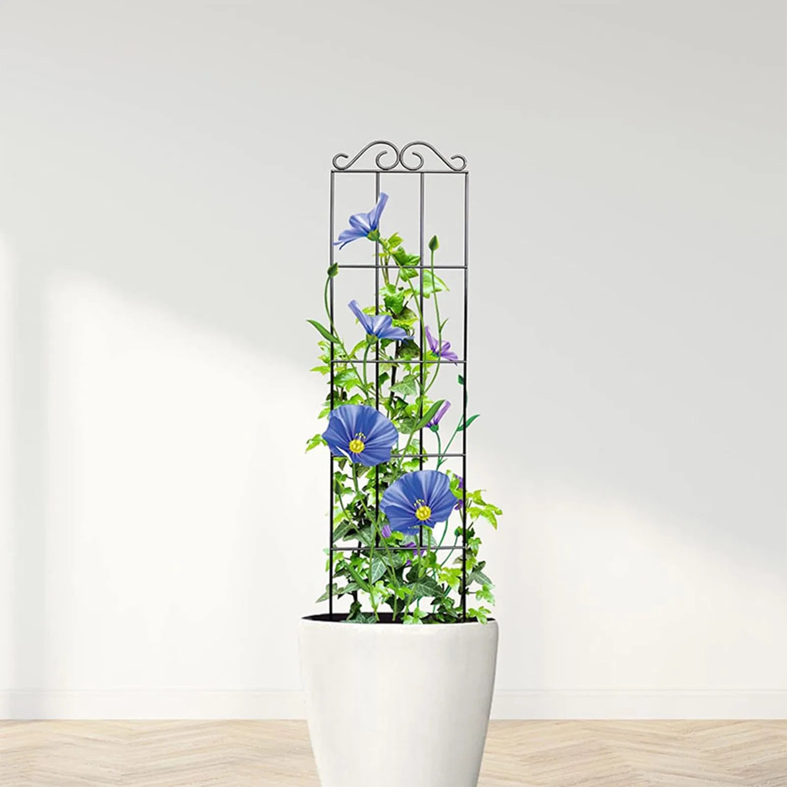 Plants Support Metal Trellis Black Iron Wire Vine